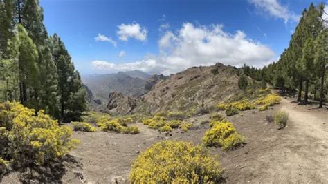 clima de 10 días para monumento natural del roque nublo|10 Best hikes and trails in Monumento Natural del。